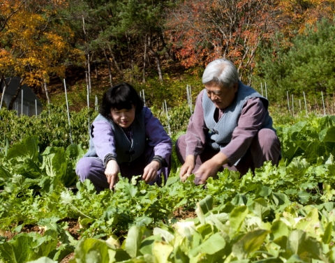 힐리언스 선마을, 5월 가정의 달 맞아 특별 9988캠프 진행