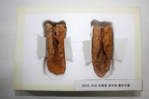 군산대학교 박물관