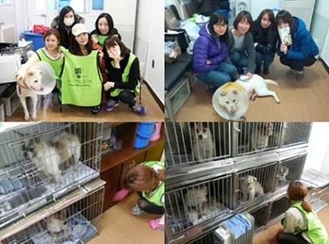 뷰티카페 ‘여우야’가 지난 21~22일 유기동물을 위한 사랑 나눔 봉사활동을 펼쳤다.