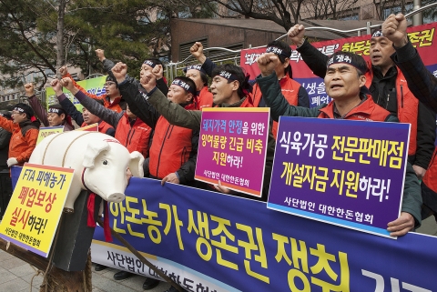서울 여의도 KB국민은행 앞에서 대한한돈협회 이병모 회장을 비롯하여 전국의 한돈농가 및 축산관련단체협의회, 전국한우협회 등 축산업계 대표들이 돼지가격 폭락에 따른 한돈농가 생존권 