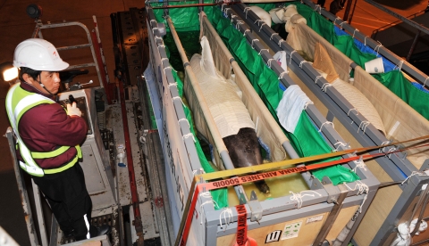 8일 제주공항에서 아시아나항공 직원이 아시아나 화물기인 OZ8522편에 인천으로 수송되는 돌고래 ‘복순이’와 ‘태산이’를 탑재하고 있다.
