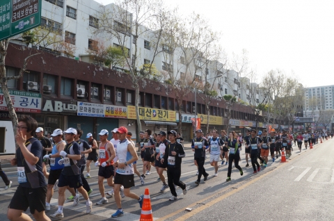 2013 대구국제마라톤대회 참가자들이 달리고 있다.