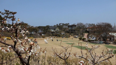 봄이 오는 길목, 한국을 찾다