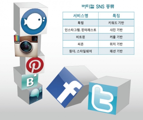 버티컬 SNS의 예시