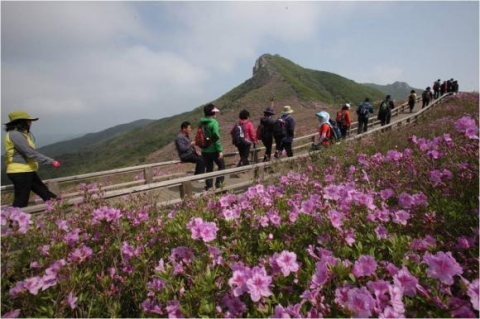 산청군, 황매산 철쭉 관광홍보단 모집 이벤트 실시