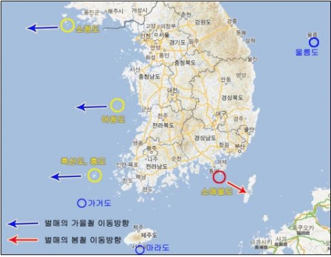 국립공원연구원 철새연구센터가 조사한 한반도 벌매 이동 경로 및 주요 철새중간기착지