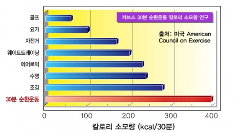커브스 30분 순환운동 칼로리 소모량 연구