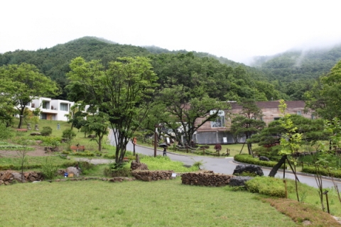 치유의 숲, 힐리언스 선마을