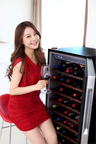 캐리어냉장이 캐리어 와인셀러를 출시했다. 캐리어 와인셀러는 와인셀러의 대중화를 위해 60만원, 90만원 대의 합리적인 가격으로 출시되었다.
