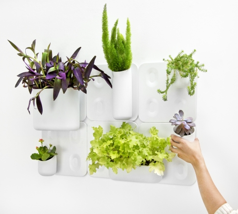 벽면에 설치하는 모듈형 정원 얼비오(Urbio)는 친환경 플라스틱으로 제작