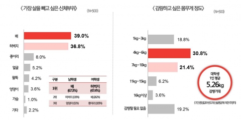 대학생 다이어트 실태 조사 결과