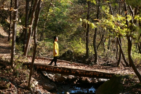 힐리언스 선마을 산림치유트레킹