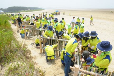 한국암웨이 임직원들이 대나무로 된 해안사구 방제 펜스를 고정하는 작업을 진행하고 있다.