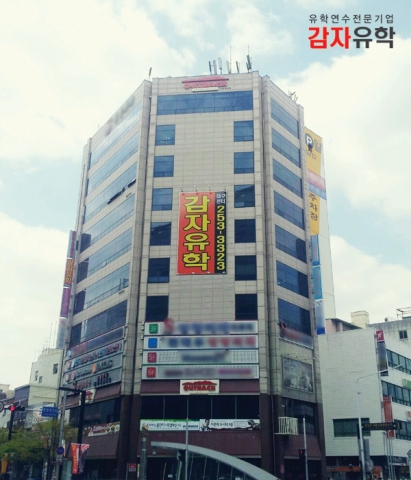 감자유학 대구센터(동성로 아웃백 8층)