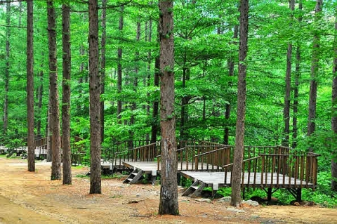 청옥산 자연휴양림은 최고의 자연환경을 자랑한다.