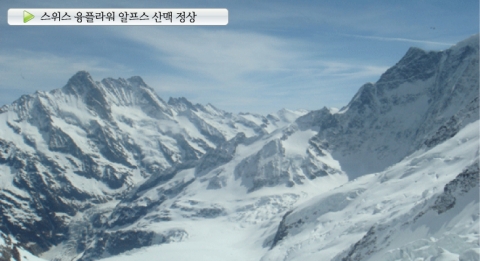 유로메디코스메틱은 유럽의 산 청정지역 알프스에서 채취한 성분들을 사용하고 있다.