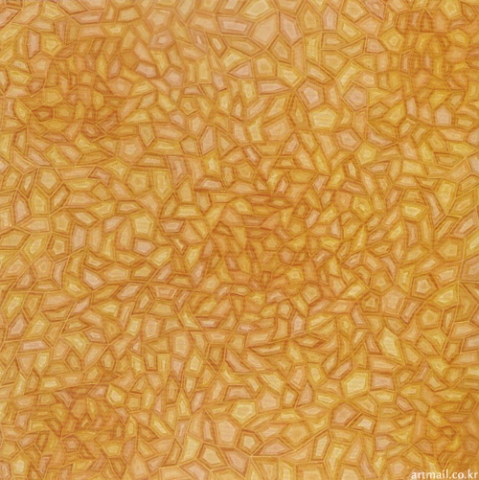 고낙범_Skin,165x165cm,oil on canvas,2009