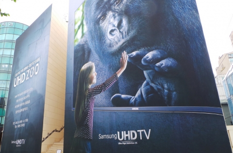 삼성전자가 8일부터 17일까지 서울 강남구 청담동 비욘드 뮤지엄에서 개최하는 삼성 UHD TV와 함께 하는 멸종위기동물展 UHD ZOO 행사장 전경