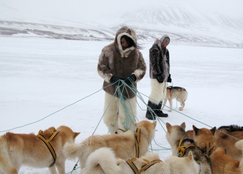 낯선 북극의 광활한 대 자연을 스크린 위에 펼친 북극의 후예 이누크가 8월 29일 개봉한다.