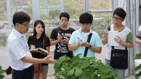 딸기 재배를 설명하고 있는 왼쪽부터 ㈜애그로닉스 주종문 대표, 스마트팜 옥한별 팀장(식품공학과4), 홍성민(식품영양과학과2), 김수완(식품공학과4), 최가람(식품공학과4)