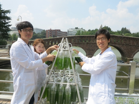 조류를 수확하는 건국대 생물공학과 학생들. 버려지는 페트병과 폐 철골을 이용해 클로렐라 등 조류(藻類)를 배양하는 조류나무를 개발한 건국대 생물공학과 강준호(23·왼쪽), 고은혜(