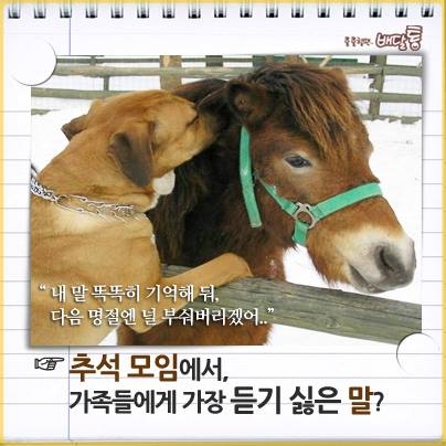 배달통 페이스북 추석 이벤트