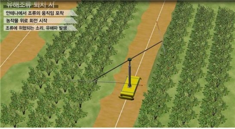 동명대 배재환 교수의 유해 조류 퇴치 로봇.