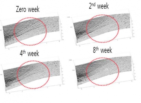 Test Institute: Derma Pro Co., Ltd/Subject: 21 women with eye wrinkles of SOP level 4 or above. Average age of 43.4 /Test Period: 8 weeks Images above eye wrinkle analysis images of prior-to application, 2 weeks of application, 4 weeks of application and 8 weeks of application, respectively.