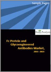 Fc 단백질 및 글리코엔지니어드 항체 시장 보고서가 발행됐다.
