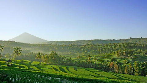 뿌뜨리발리가 힐링캠프 in 우붓 테마상품을 출시했다.