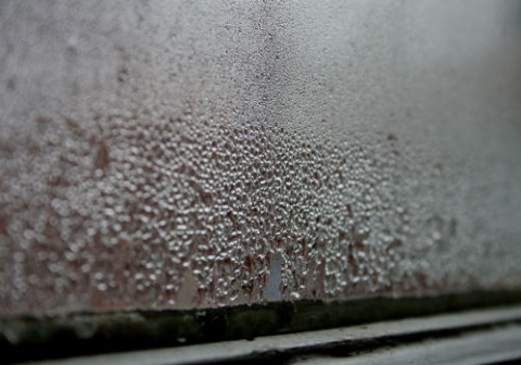 겨울철 유리창에 생기는 결로를 관리하지 않으면 벽면 곰팡이가 발생한다.