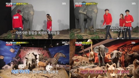 런닝맨 300회 화면 캡쳐 이미지, 세계동물대탐험전2 전시장 내