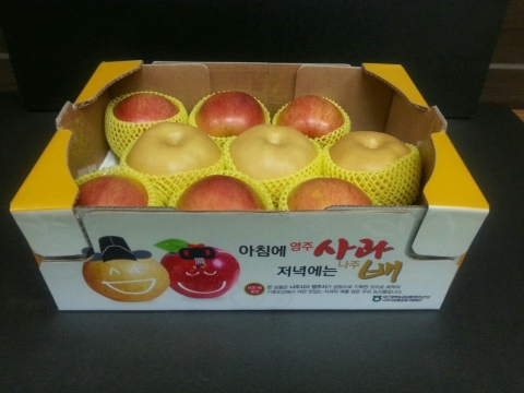 농협 하나로마트 양재, 양재, 창동, 수원, 성남, 고양에서 영주사과+나주배 직판행사를 실시한다.