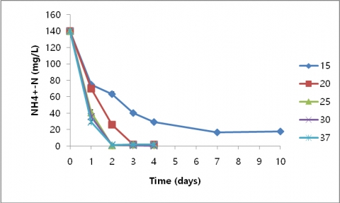 Alcaligenes faecalis EBN-NS13 균주 투여 시 온도에 따라 140ppm의 암모늄이 제거되는 데 걸리는 시간을 나타낸 그래프에 따르면, 15℃ 저온에서 7일 만에 80% 이상 암모늄 제거하였다. 이 결과는 기존에 암모니아 제거능이 우수한 균주(Bacillus methylotrophicus L7)보다 약 3배 빨리 암모늄을 제거함으로써 겨울철 폐수처리공정 기간을 단축할 뿐 아니라, 많은 양의 처리가 가능하다.