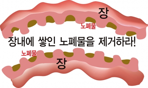 장속 노폐물을 제거해야 쾌변을 할 수 있다.