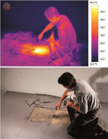 테스토코리아 열화상 이미지이다.