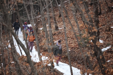 힐리언스 선마을은 2014년 힐링과학이라는 콘셉트 아래, 자연치유를 과학적으로 운영하기 위한 개발을 진행하고 있다.