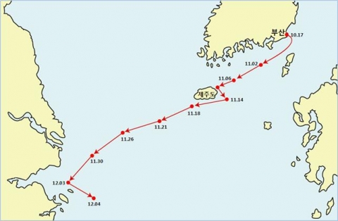 지난 10월 해운대서 방류한 멸종위기종 푸른바다거북 동북이가 약 50여일 만에 동중국해 중국 인근 수역까지 진출했다.