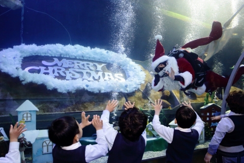 부산아쿠아리움은 5일부터 한 달여간 국내 최장의 수중 산타마을을 선보이는 등 아쿠아리움만의 특별한 크리스마스를 연출한다고 밝혔다.