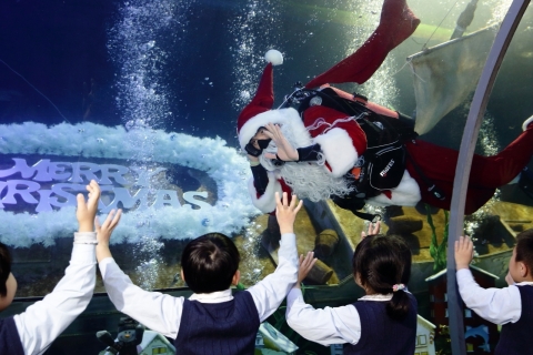 부산아쿠아리움은 5일부터 한 달여간 국내 최장의 수중 산타마을을 선보이는 등 아쿠아리움만의 특별한 크리스마스를 연출한다고 밝혔다.