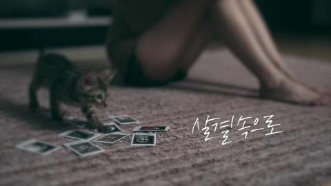 싱어송 라이터 진호현 별꽃나무 스틸컷
