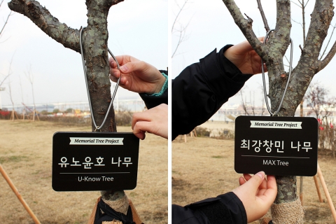 동방신기 멤버 나무