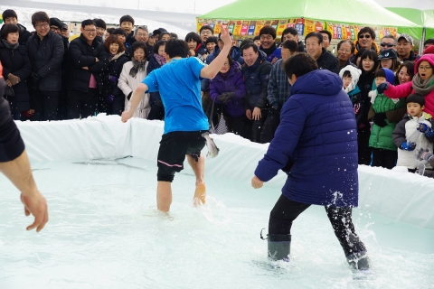 영월동강 겨울축제에서 시민이 맨손으로 송어잡기 행사에 참여하고 있다.