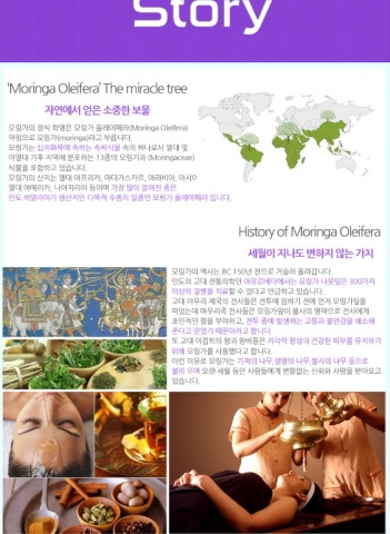 에코모링가가 상체 비만 원인 및 다이어트 방법을 소개한다.