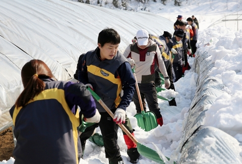 KB금융그룹 신속드림 봉사단 100여명은 15일 주말을 이용하여 폭설로 큰 피해를 입은 강원도 삼척 지역을 찾아 고립지역 제설작업, 비닐하우스 제설작업을 비롯한 다양한 피해복구 지
