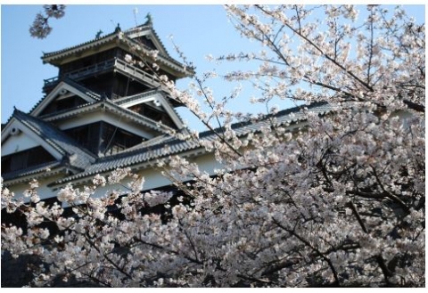 Kumamoto Prefecture (Kumamoto Castle)