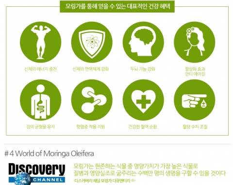모링가는 아열대 지역에서 자라며 모링가 나뭇잎은 300가지 이상의 질병을 치료할 수 있다는 기적의 나무로 불리우고 있다.