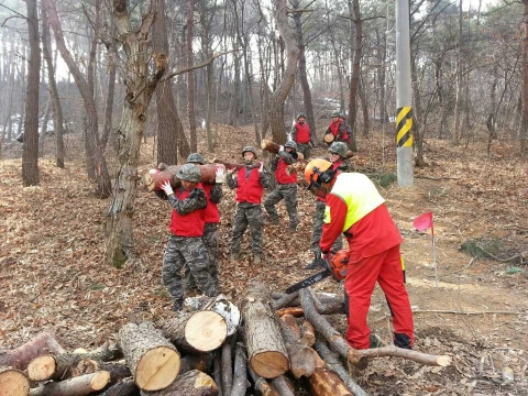 포항시는 선린대학교 인근에서 해병대 1사단 장병 1천여명의 도움을 받아 피해목 제거 활동에 나섰다.