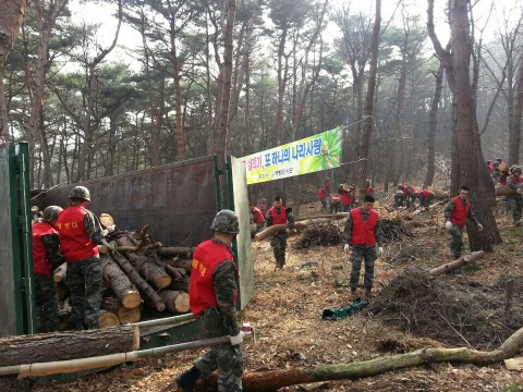 포항시는 선린대학교 인근에서 해병대 1사단 장병 1천여명의 도움을 받아 피해목 제거 활동에 나섰다.