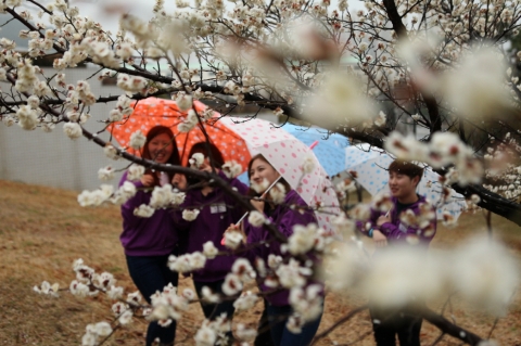 부산지역에서 유일한 동기유발 프로그램에 참여중인 동명대 신입생들이 봄비 속 매화 앞에서 함박웃음을 짓고 있다.